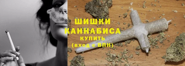 твердый Аркадак