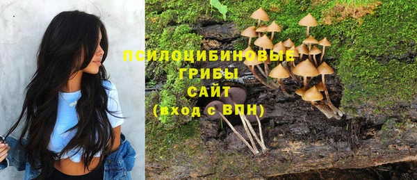 твердый Аркадак