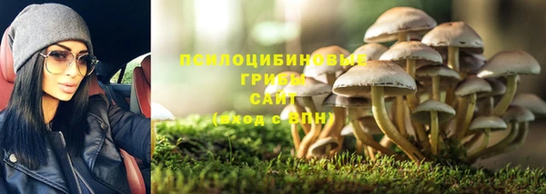 стафф Армянск