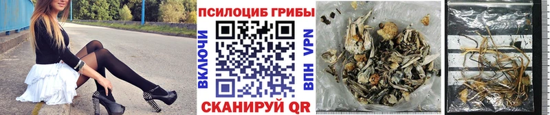 Псилоцибиновые грибы ЛСД  Купить  Гатчина 